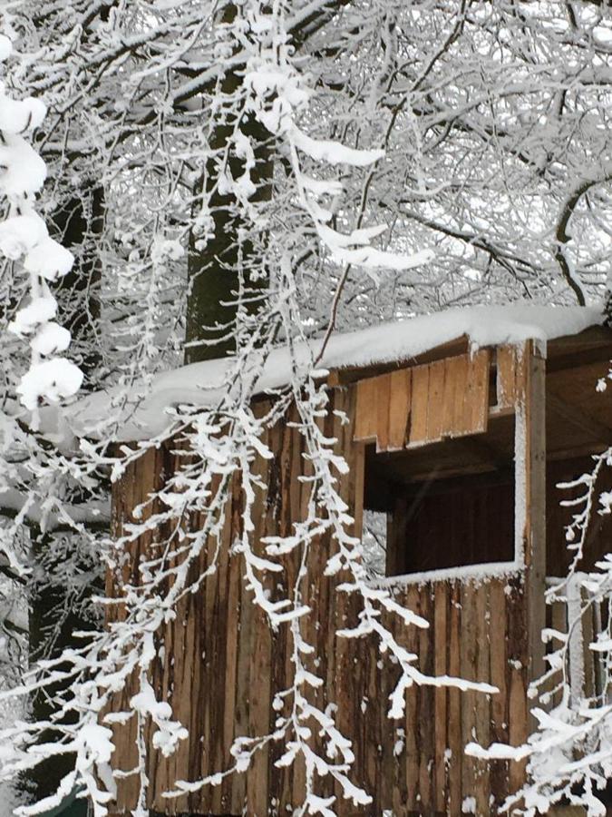 Ferienhaus Janne مونشاو المظهر الخارجي الصورة